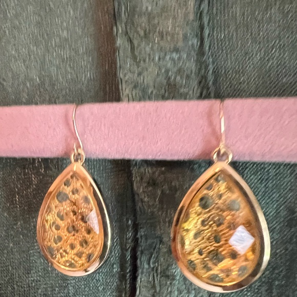 Winifred Sanderson Hocus Pocus Halloween Costume Adult Medium - Picture 7 of 16